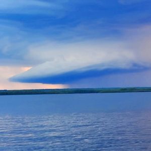 Meet your Posher, Jessie